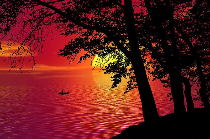 solnedgang, træer, båd, landskab, aften, naturskøn