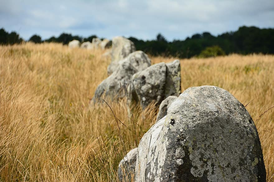 menhir, đá, carnac, Brittany, pháp, nông thôn