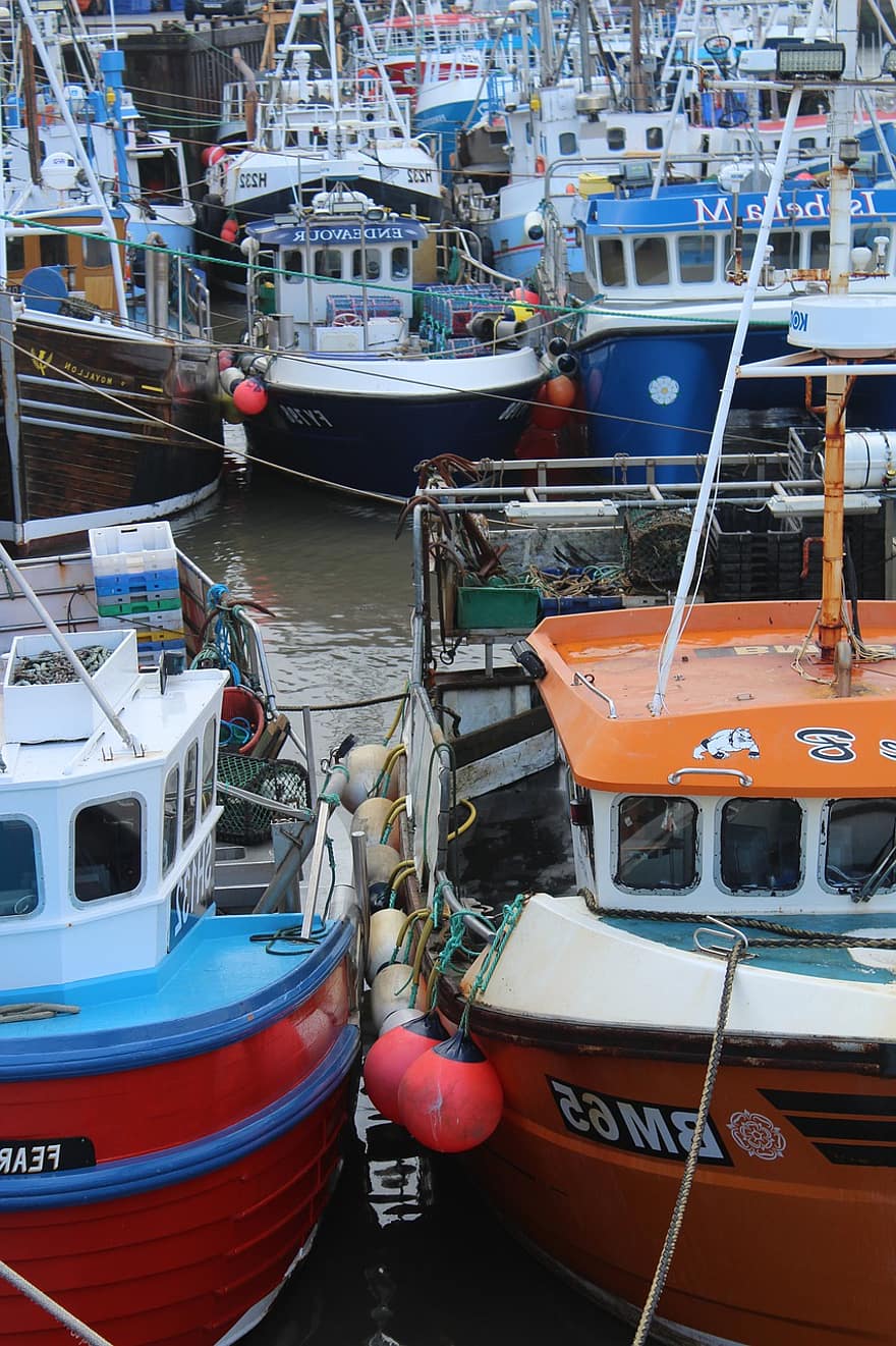 barcos de pesca, Porto, porta, pescaria, mar, barco, barcos, doca, costa, yorkshire