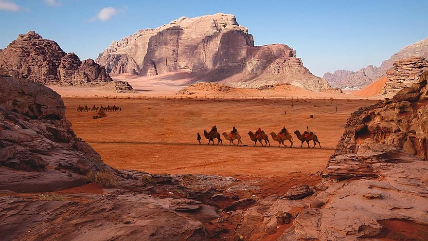 woestijn, kameel, reis, reizen, toerisme, nui