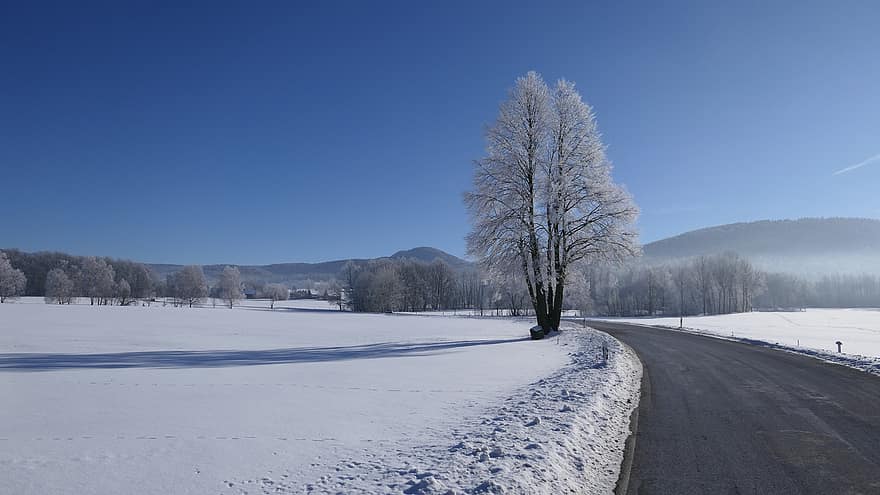 väg, snö, vinter-, träd, frost, kall, natur, snowscape, landskap, walter by, skog