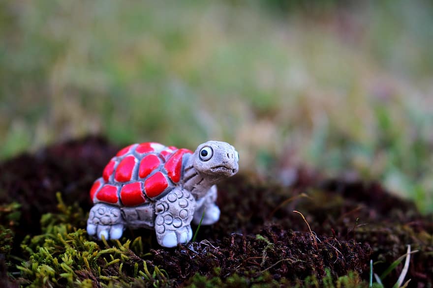 želva, hračka, shell, půda, přízemní, miniaturní, dětská hračka, hračka želva, podívat se na