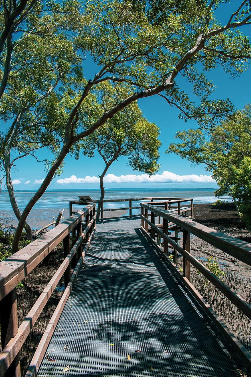 puinen jalkakäytävä, rannikko, lahti, mangrovelehdoille, kasvit, meri, valtameri, kävelytie, maisema, silta, matkailukohde