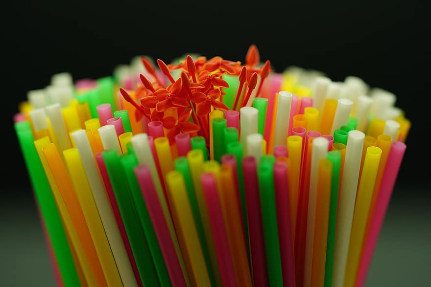 Plastic Straw, Flowers, Asoca, Jungle Geranium, Buds, Straw, Colored Straw, Plastic, multi colored, drink, drinking straw