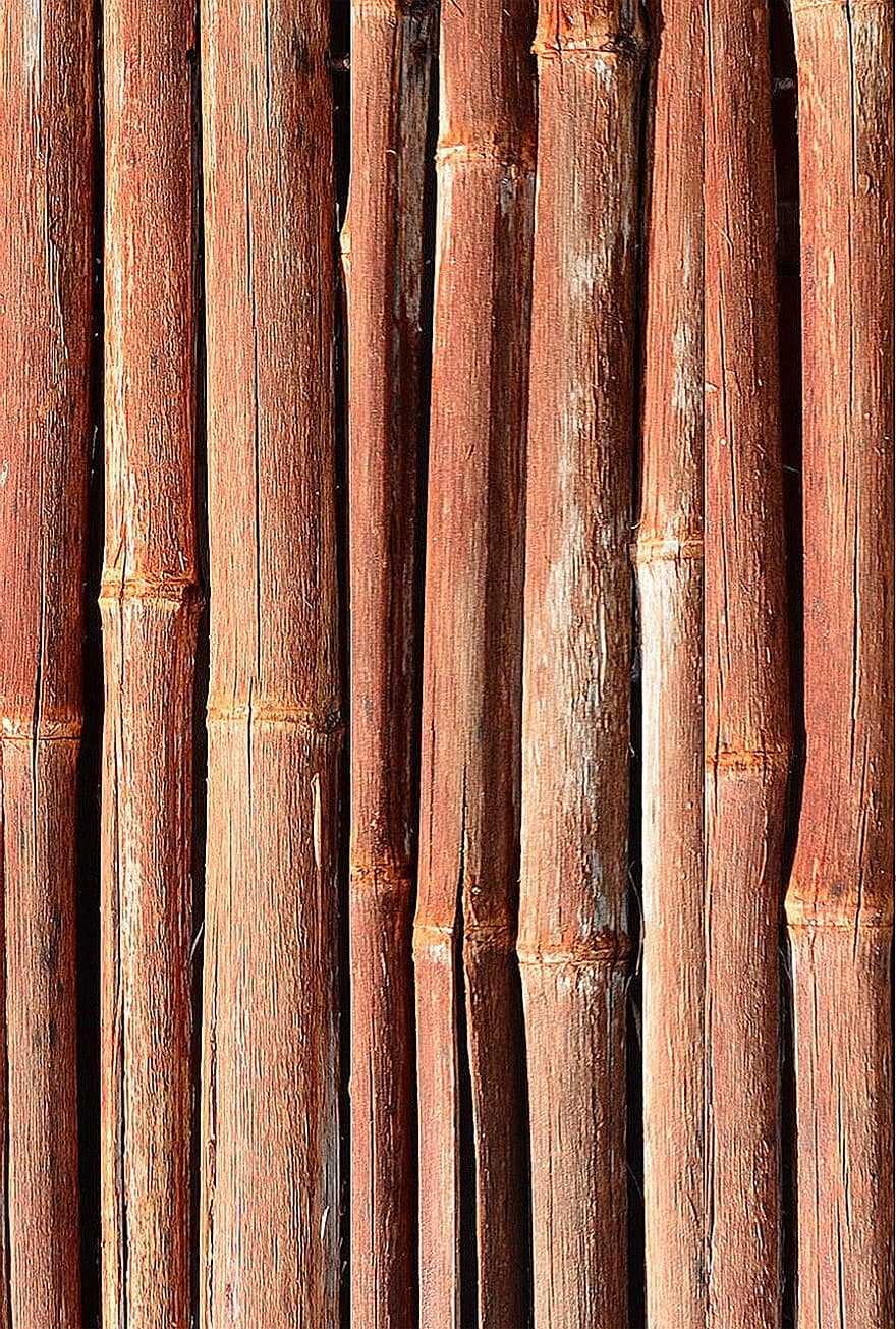 bambus, dřevo, vzor, šablona, Pozadí