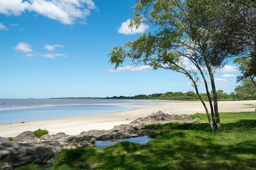 plajă, Uruguay, mare, coastă, natură, peisaj