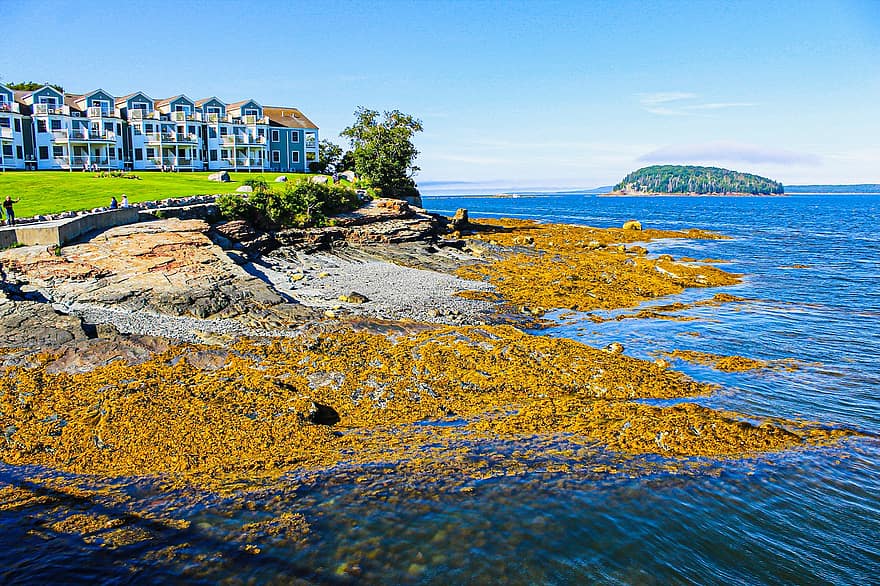 un hôtel, rive, port, terre, océan, voile, voilier, navire, Maine, paysage marin