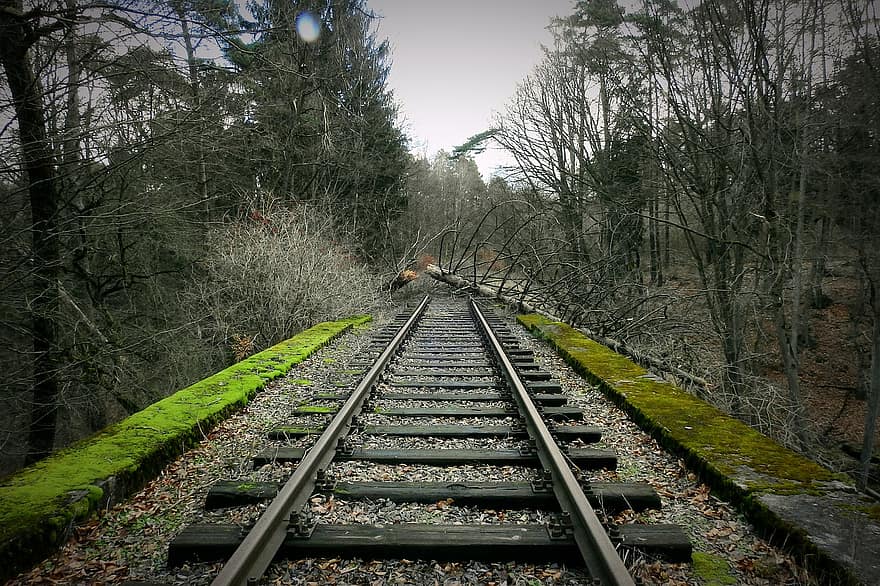 Tracks, Railway, Nature, Trees, Outdoors, Forest, railroad track, tree, transportation, men, vanishing point