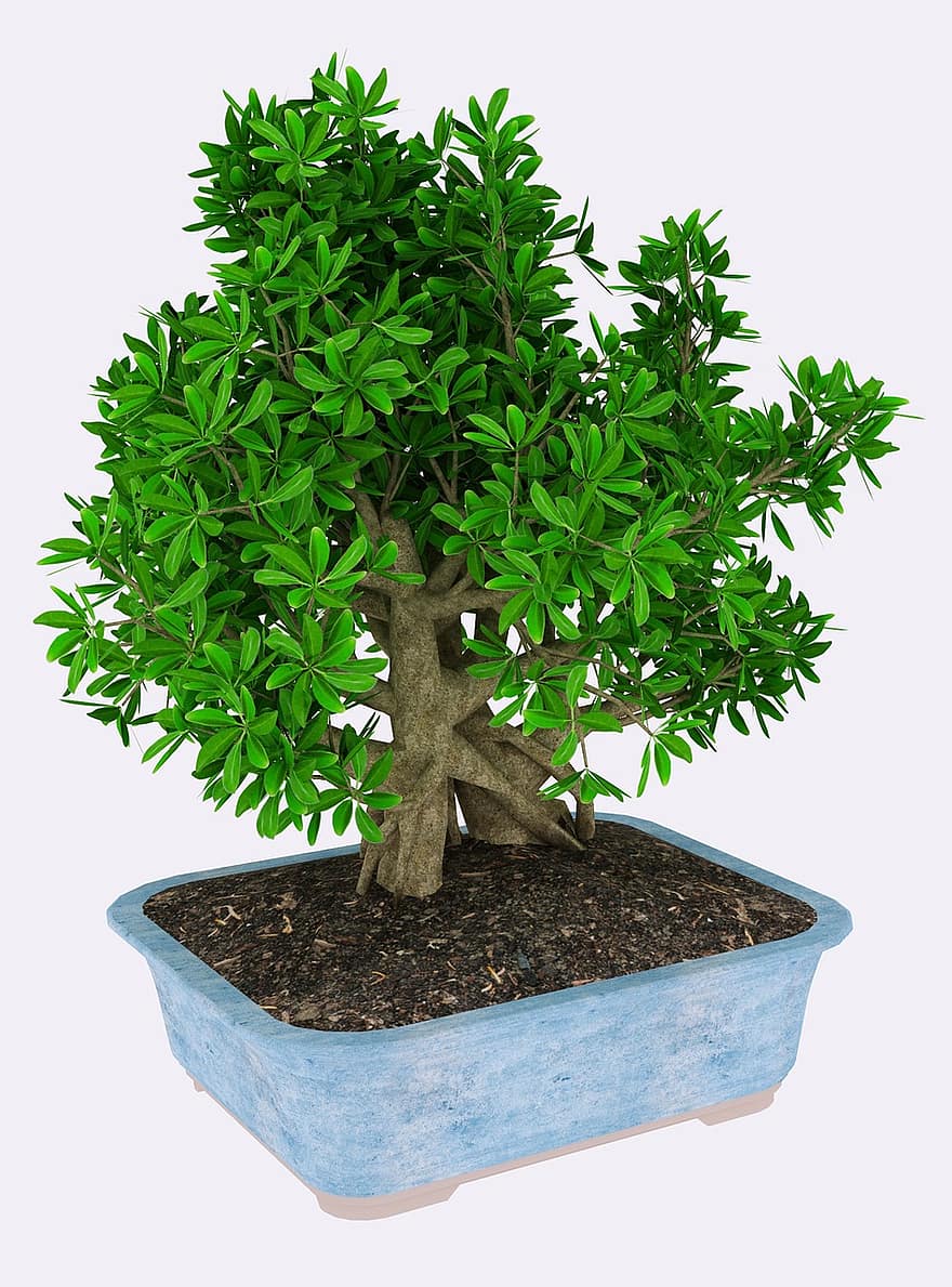 나무, 3d, 세우다, 이파리, 녹색, 3D 모델