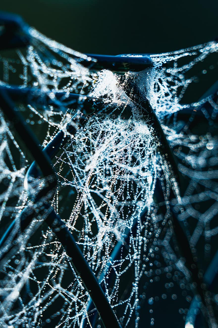spindelvev, web, duggdråper, nærbilde, kjede lenke, gjerde, lys, tekstur, dråper, dugg, tåke