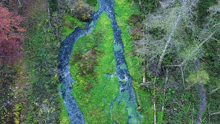 con sông, suối, rừng, phong cảnh, chụp ảnh bằng máy bay không người lái, Thiên nhiên, Nhìn bao quát, cây, màu xanh lục, Lá cây, cỏ