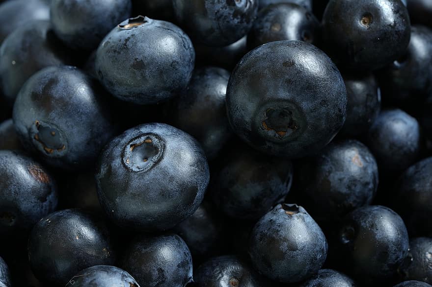 blåbær, bær, frisk, sund og rask, frugt, mad, friskhed, tæt på, moden, organisk, sund kost