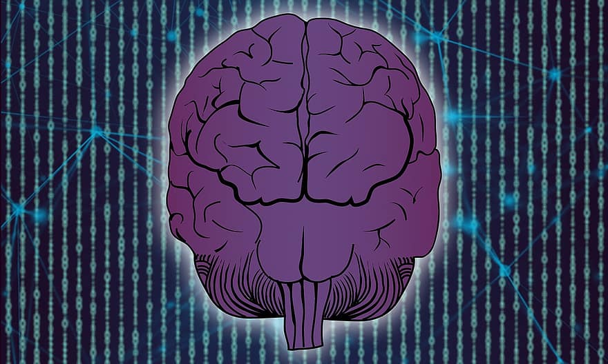 cervell, tecnologia, xarxa, informació, dades, pensar, comunicació, intel · ligent, ment, controlat, Cervell blau