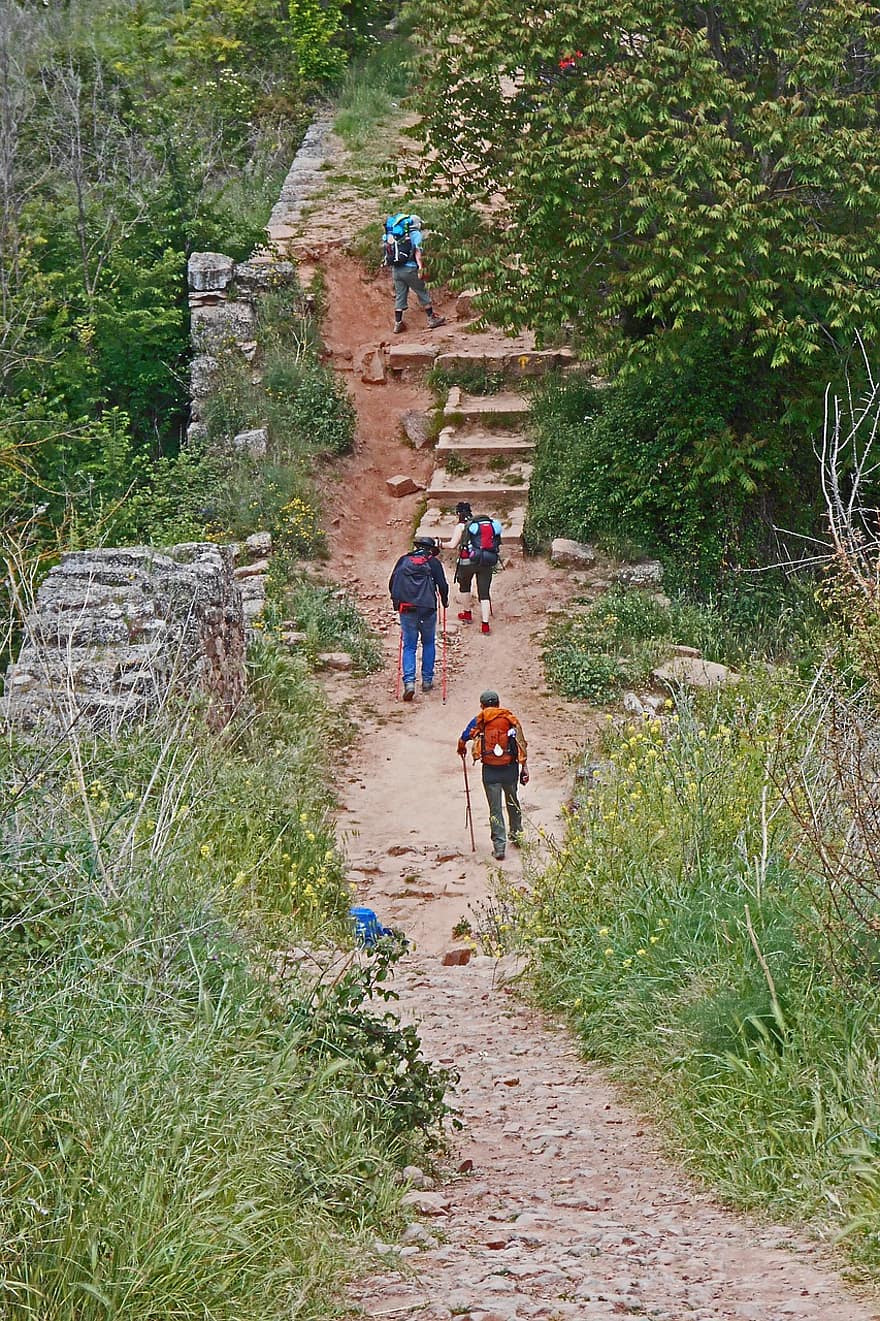 pilgr, pelerin, excursie pe jos, natură, Jakobsweg, camino, Spania
