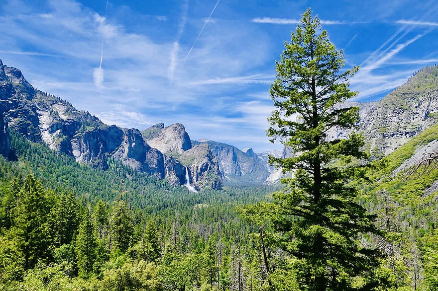 bergen, Bos, yosemite, Californië, bomen, natuur, landschap, berg-, zomer, boom, bergtop