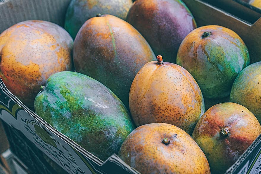 manga, sklizeň, vyrobit, organický, čerstvý, ovoce, trh, Čerstvé mango, čerstvé ovoce, zralý, zralé mango