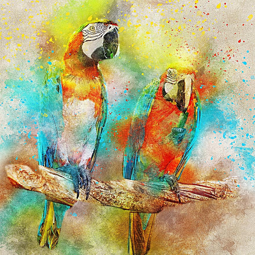 fugl, papegøjer, kunst, abstrakt, akvarel, årgang, dyr, natur, T-shirt, kunstnerisk, design
