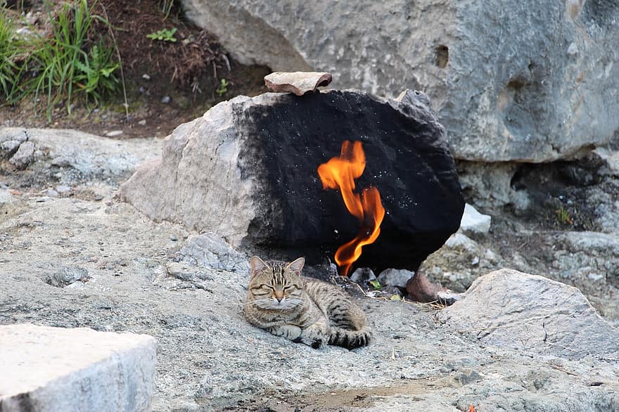 Пожар, камень, природа, кошка, пламя, горячей, камни, русс, домашние питомцы, естественное явление, высокая температура