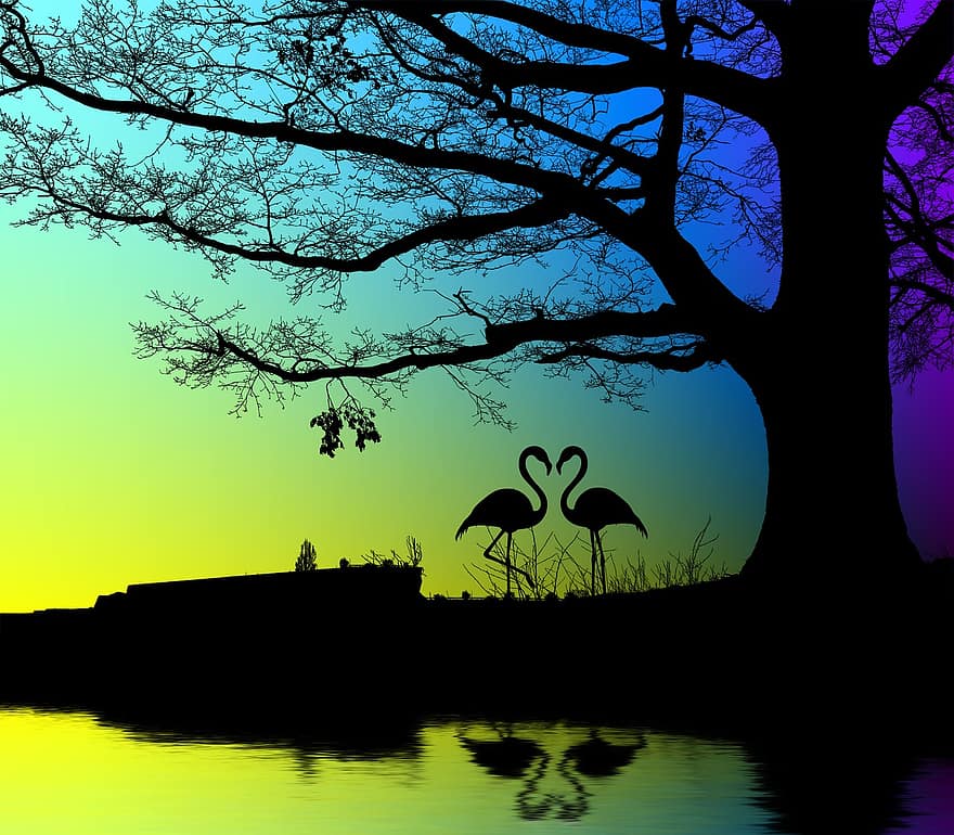 natur, tre, fugler, flamingo, utendørs, solnedgang, silhouette, refleksjon, vann, bakgrunnsbelyst, skumring