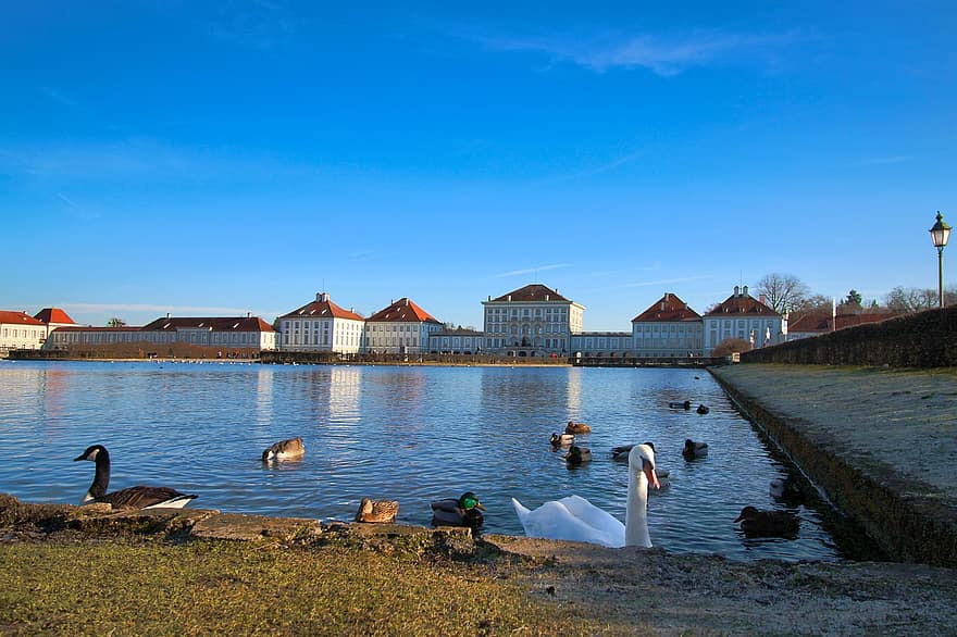 قصر نيمفنبرغ ، بحيرة ، البجع ، البط ، الطيور المائية ، بركة ماء ، الطيور ، أفي ، متعلقه بالطيور ، علم الطيور ، مشاهدة الطيور