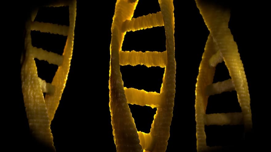 ADN-ul, dns, biologie, acidul dezoxiribonucleic, cercetare, ştiinţă, cromozom, genetică, spirală, adenină, citozină