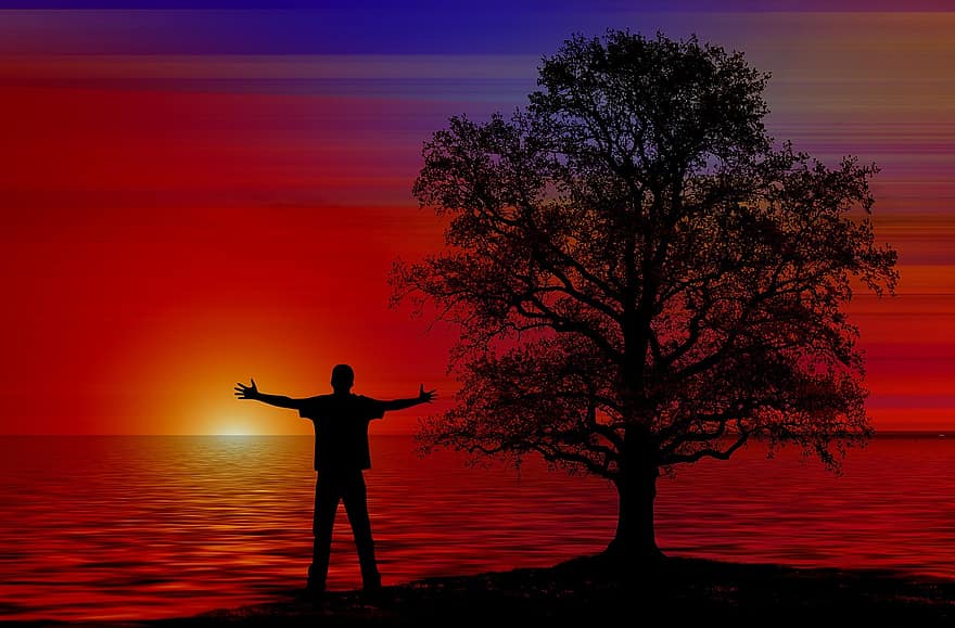 человек, радость, дерево, воды, волна, море, заход солнца, солнце, оранжевый, жажда жизни, ура