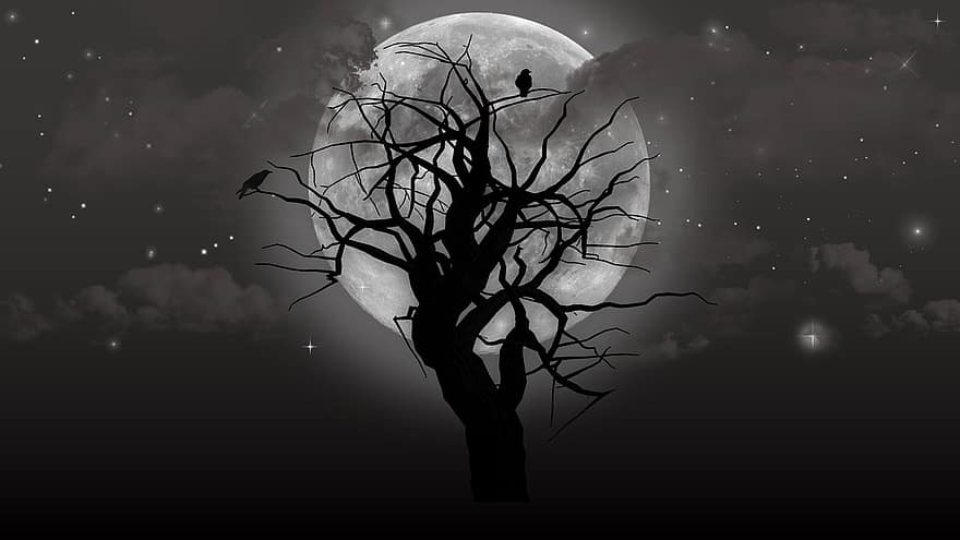 måne, træ, fugle, stjerner, uhyggelig, halloween, nat, landskab, skræmmende, silhuet, mørk