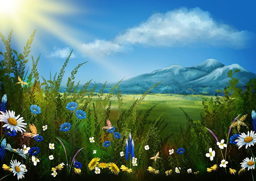 Landscape, Flowers, Meadow, Field, Plants, Grass, Greenery, Foliage, Mountains, Sunlight, Scenery