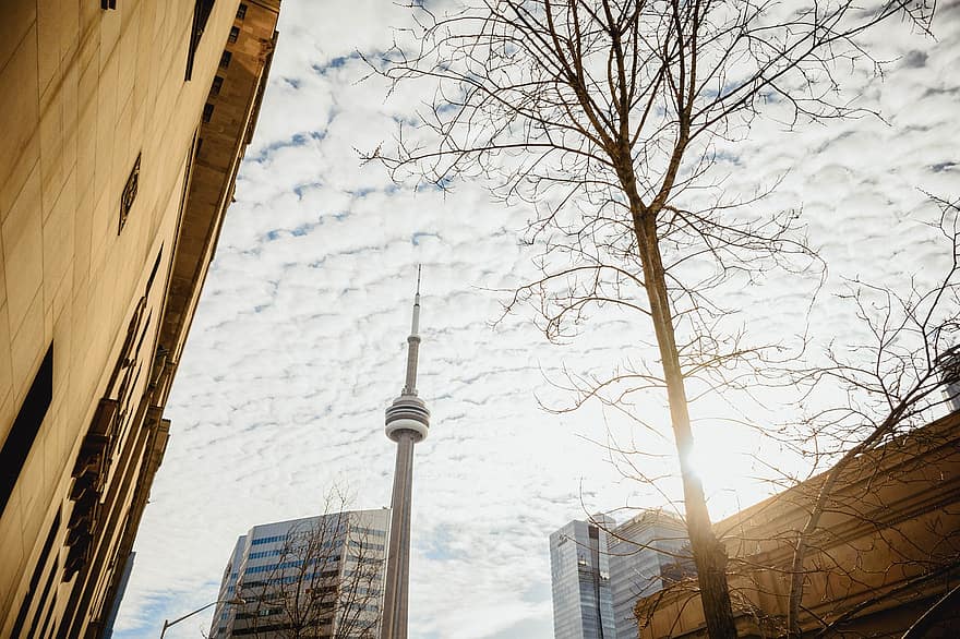Dzień Kanady, Toronto, architektura, Budynki, miejski, śródmieście, sylwetka na tle nieba, woda, sceneria, kanadyjski, pejzaż miejski