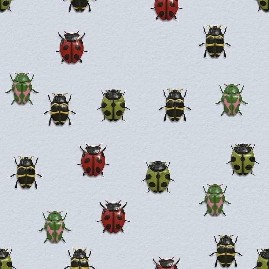 bille, insekt, marihøne, dyr, mønster