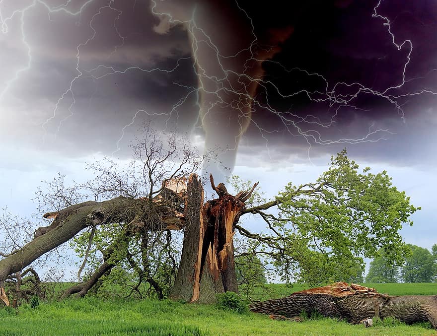tornádó, vihar, faág, felhőszakadás, zivatar, természeti katasztrófa, villámvihar, mennydörgés, kár, hurrikán, villám