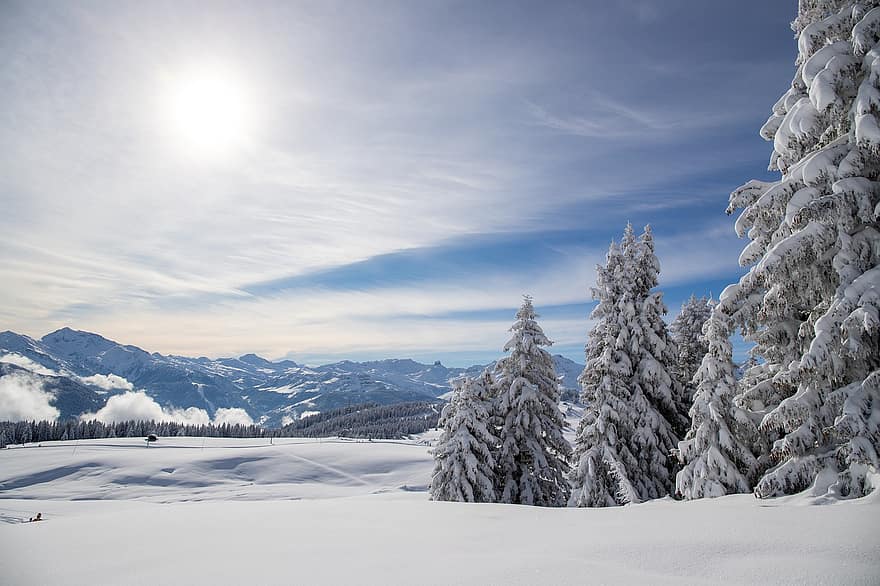 ต้นไม้, ภูเขา, หิมะ, ฤดูหนาว, หนาว, ฅ้นเฟอร์, ธรรมชาติ, Savoie, ฝรั่งเศส