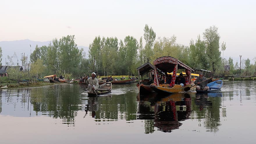 tó, Srinagar, dal-tó, shikara, India, tájkép, hajó, víz, nyári, férfiak, kultúrák