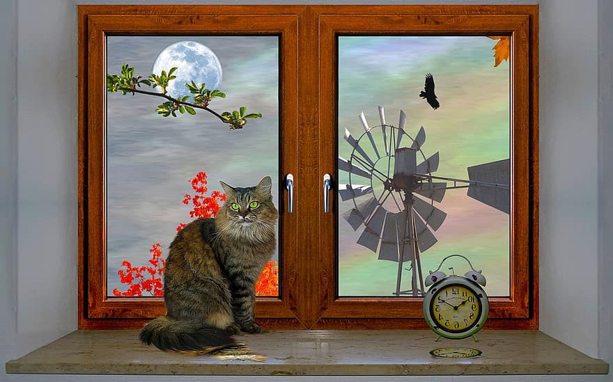 ikkuna, kissa, fantasia, unelma, kissan-, tuulimylly, pudota, kello, lehdet, päivä, päivänvalo