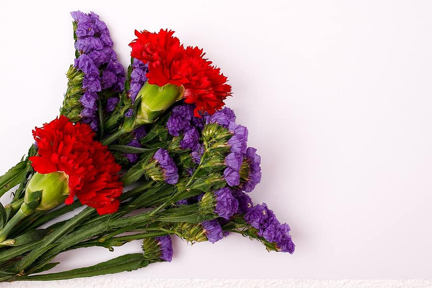 blomster, flor, botanik, blomstre, dekoration, kunst, arrangement, have, dekorative