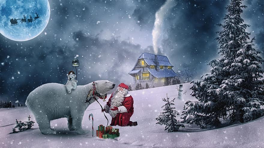 Christmas, Christmas Motive, Winter, Santa Claus, Polar Bear, Gift, Snow, Cold, Blue Motivation, Blue Snow