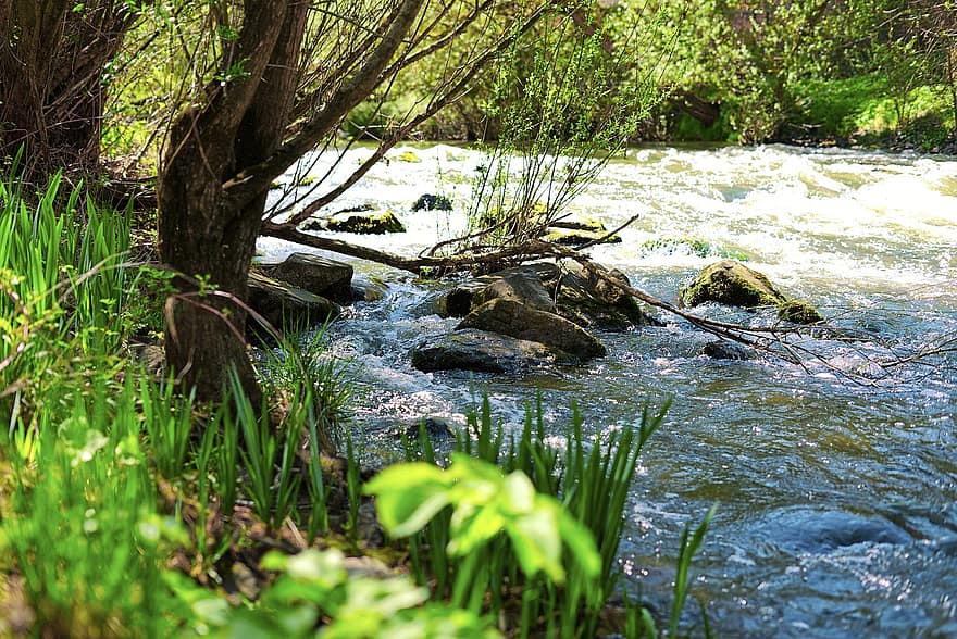 река, поток, природа, на открито, вода, пътуване, проучване, гори, джунгла