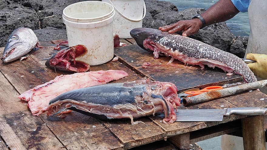Ryba, drsný, trh, plody moře