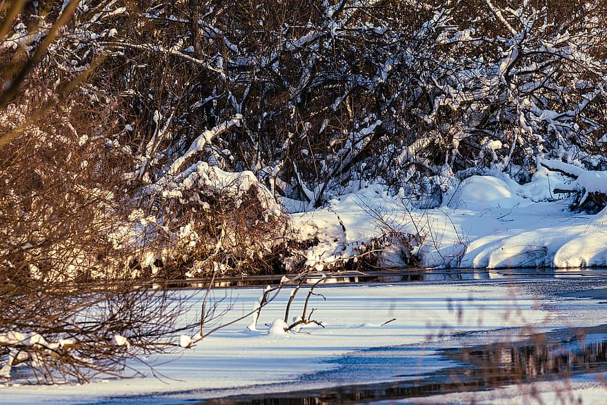 ποτάμι, παγωμένος, χειμώνας, πάγος, χιόνι, παγωνιά, κρύο, παγωμένο ποτάμι, δέντρα, κλαδια δεντρου, τράπεζα