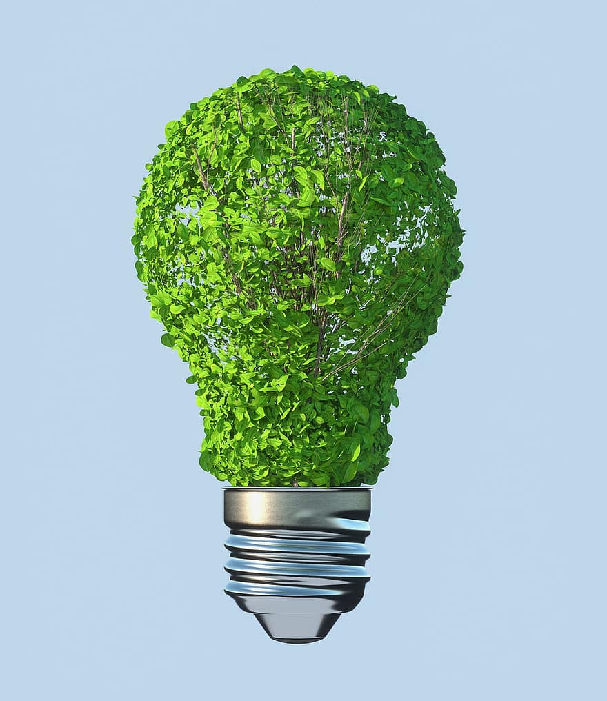 sai, lâmpada, sustentabilidade, bulbo, natureza, meio Ambiente, ecologia, folhagem, vegetação, 3D renderizado