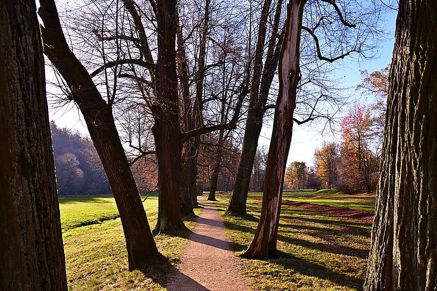 Path, Trees, Park, Avenue, Fall, Field, Grass, Autumn, Walkway, Woods, Landscape