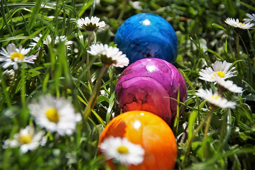 jajko, kolor, Wielkanoc, tradycja, trawa, czas wschodni, wiosna, zielony kolor, łąka, wielobarwne, pora roku