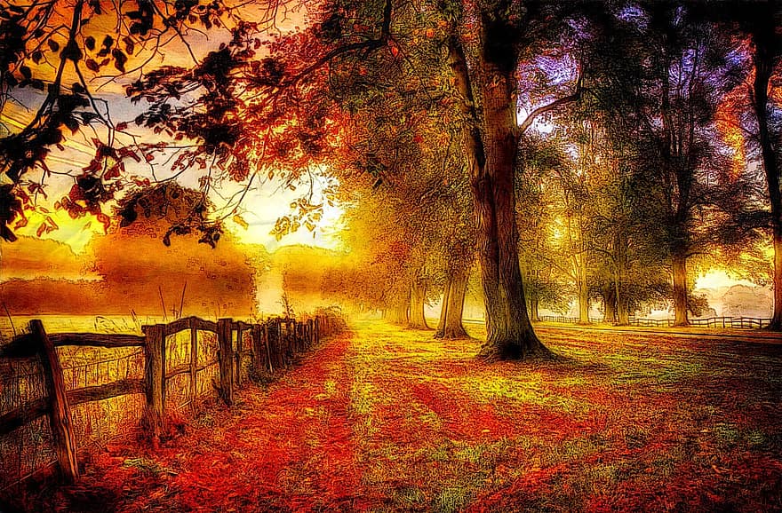 autunno, stagione, all'aperto, in esecuzione, a piedi, sentiero, albero, pianta, natura, recinto, le foglie