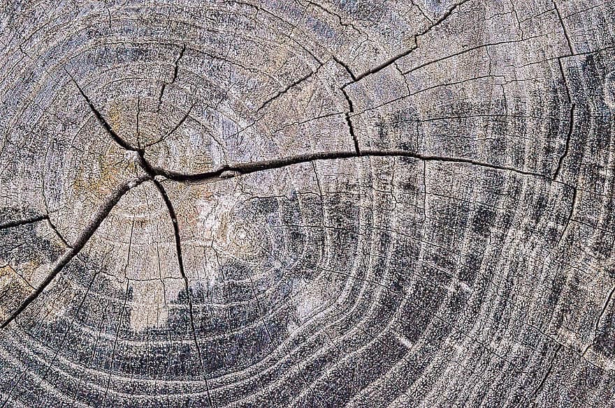 tekstura, kikut, Struktura, drzewo, log, wzór
