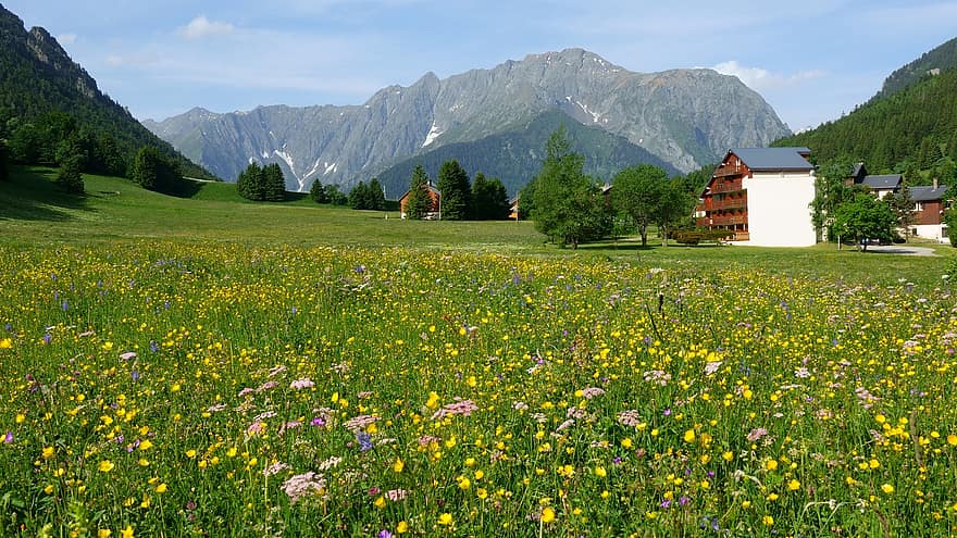 alpe du grand serre, цветя, прерия, планина, природа, ливада, трева, лято, селска сцена, зелен цвят, пейзаж