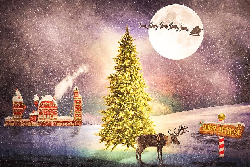 Kerstmis, vakantie, winter, sneeuw, boom, rendier, nacht, illustratie, Bos, seizoen, achtergronden