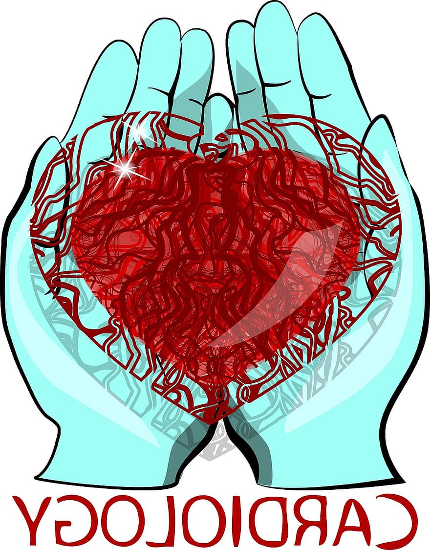 hart-, handen, geneeskunde, cardiologie, logo, chirurgie, medisch, houdt, symbool, embleem