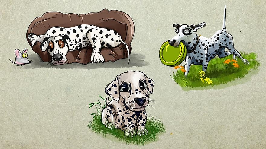 หมา, Dalmatians, สัตว์เลี้ยง, ความจงรักภักดี, แต่ละ, สัตว์, ดู, ลูกสุนัข, มุมมอง, ตา, น่ารัก