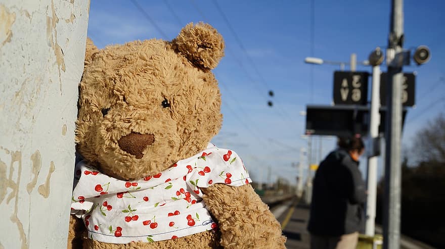 Teddybär, ausgestopftes Tier, Spielzeug, Plüschtier, Reise, Zug, Bahnhof, Tier, Bärenjunge, süß, Kindheit