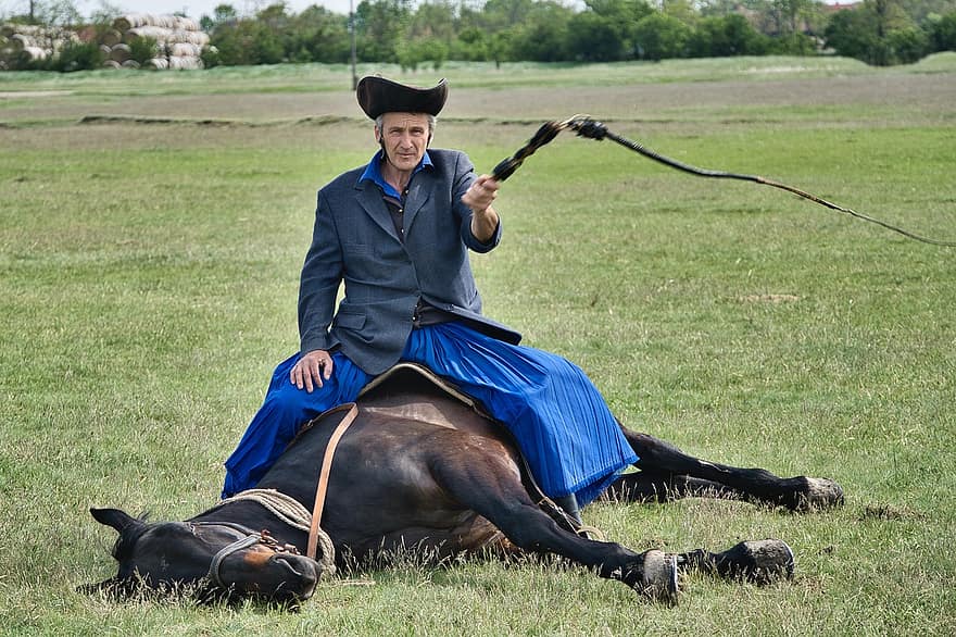 Horse, Rider, Trick, Tradition, Demonstration, Legend, Animal, Mammal, Equine, Equestrian, Horse Rider